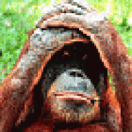 BladeMan