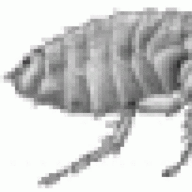 siphonAPhilos