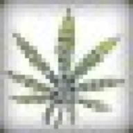 weedgirl